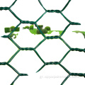 Επαγγελματικό PVC ψαριού Cage Hexagonal Wire Mesh